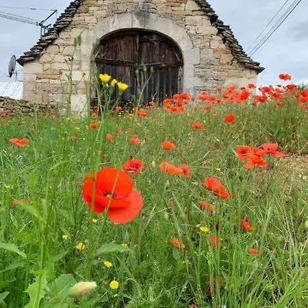 Le Mas De Graville Haute * Faycelles